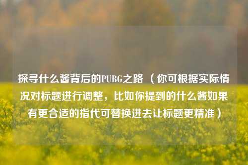 探寻什么酱背后的PUBG之路 （你可根据实际情况对标题进行调整，比如你提到的什么酱如果有更合适的指代可替换进去让标题更精准）
