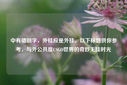中有错别字,外桂应是外挂。以下标题供你参考,与外公共度CSGO世界的奇妙无挂时光