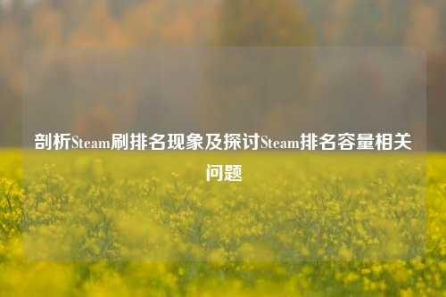 剖析Steam刷排名现象及探讨Steam排名容量相关问题