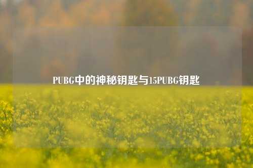 PUBG中的神秘钥匙与15PUBG钥匙