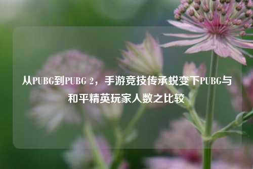 从PUBG到PUBG 2，手游竞技传承蜕变下PUBG与和平精英玩家人数之比较