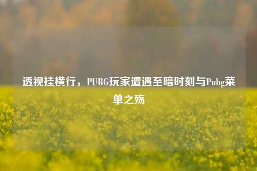 透视挂横行，PUBG玩家遭遇至暗时刻与Pubg菜单之殇