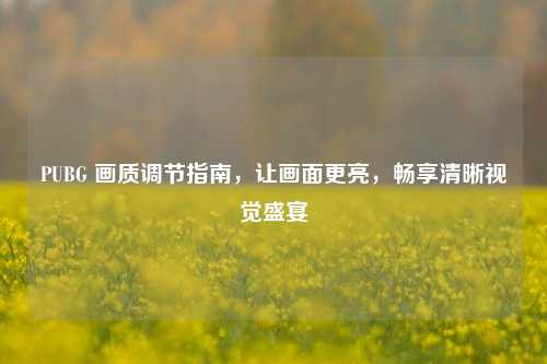 PUBG 画质调节指南，让画面更亮，畅享清晰视觉盛宴