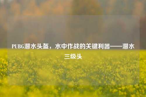 PUBG潜水头盔,水中作战的关键利器——潜水三级头