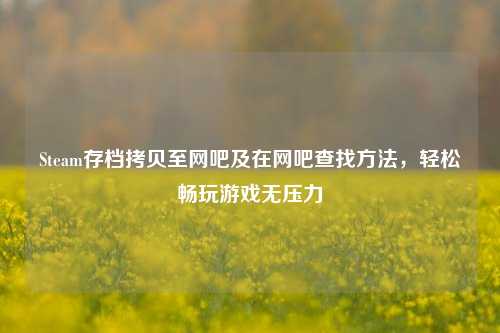 Steam存档拷贝至网吧及在网吧查找方法,轻松畅玩游戏无压力