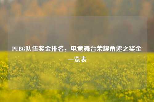 PUBG队伍奖金排名,电竞舞台荣耀角逐之奖金一览表