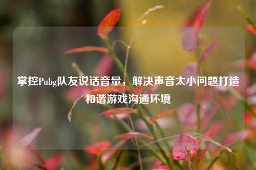 掌控Pubg队友说话音量，解决声音太小问题打造和谐游戏沟通环境