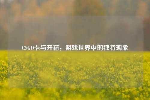 CSGO卡与开箱，游戏世界中的独特现象
