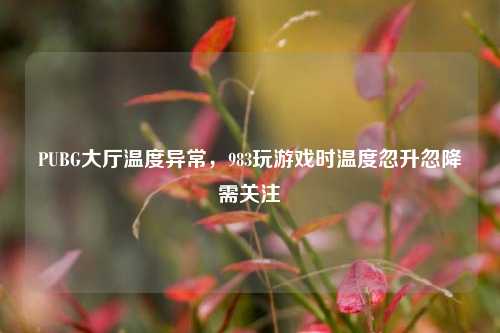 PUBG大厅温度异常，983玩游戏时温度忽升忽降需关注