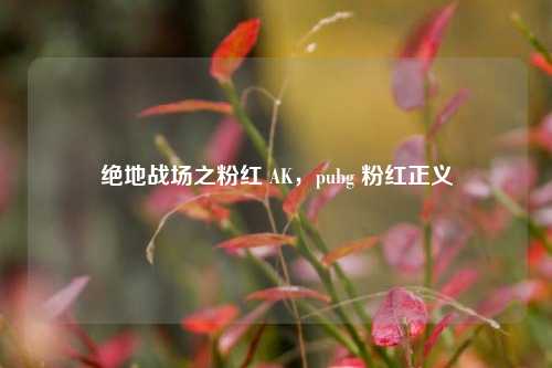 绝地战场之粉红 AK,pubg 粉红正义