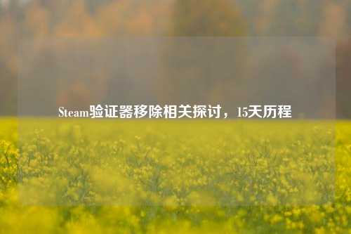 Steam验证器移除相关探讨,15天历程