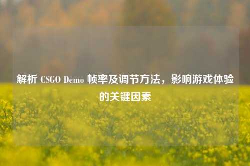 解析 CSGO Demo 帧率及调节方法,影响游戏体验的关键因素