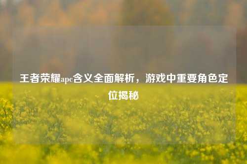 王者荣耀apc含义全面解析,游戏中重要角色定位揭秘