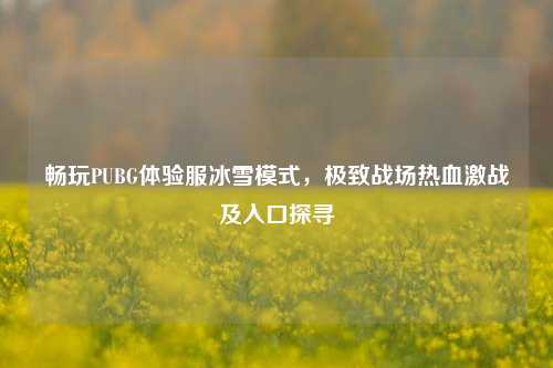 畅玩PUBG体验服冰雪模式,极致战场热血激战及入口探寻