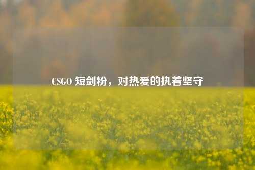 CSGO 短剑粉,对热爱的执着坚守