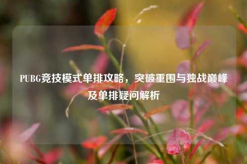 PUBG竞技模式单排攻略,突破重围与独战巅峰及单排疑问解析