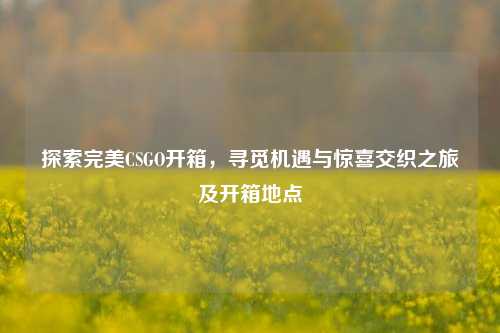 探索完美CSGO开箱,寻觅机遇与惊喜交织之旅及开箱地点