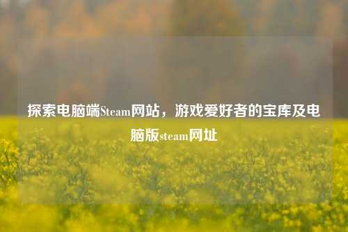 探索电脑端Steam网站,游戏爱好者的宝库及电脑版steam网址