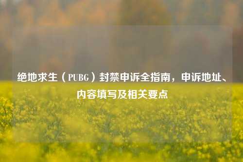 绝地求生(PUBG)封禁申诉全指南,申诉地址、内容填写及相关要点