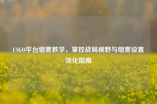 CSGO平台烟雾教学,掌控战局视野与烟雾设置淡化指南