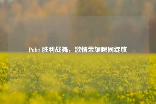 Pubg 胜利战舞,激情荣耀瞬间绽放