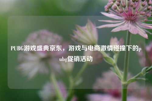 PUBG游戏盛典京东,游戏与电商激情碰撞下的pubg促销活动