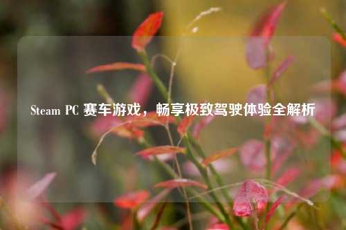 Steam PC 赛车游戏,畅享极致驾驶体验全解析