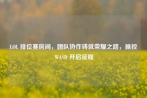 LOL 排位赛房间，团队协作铸就荣耀之路，操控 WASD 开启征程