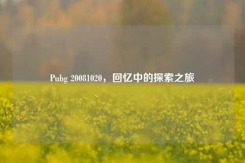 Pubg 20081020,回忆中的探索之旅