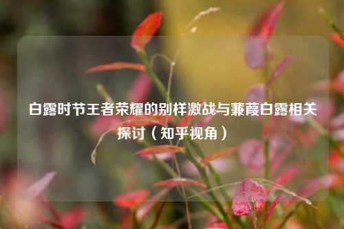 白露时节王者荣耀的别样激战与蒹葭白露相关探讨（知乎视角）