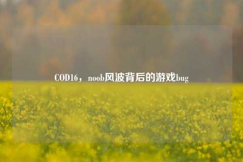 COD16，noob风波背后的游戏bug