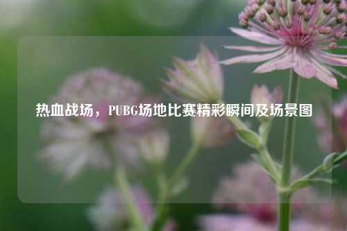 热血战场，PUBG场地比赛精彩瞬间及场景图