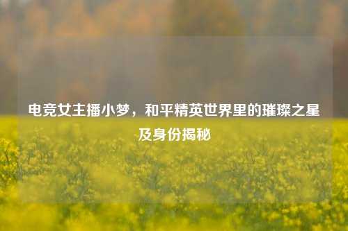 电竞女主播小梦，和平精英世界里的璀璨之星及身份揭秘