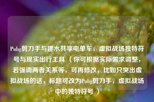 Pubg剪刀手与建水共享电单车，虚拟战场独特符号与现实出行工具 （你可根据实际需求调整，若强调两者关系等，可再修改，比如只突出虚拟战场的话，标题可改为Pubg剪刀手，虚拟战场中的独特符号 ）