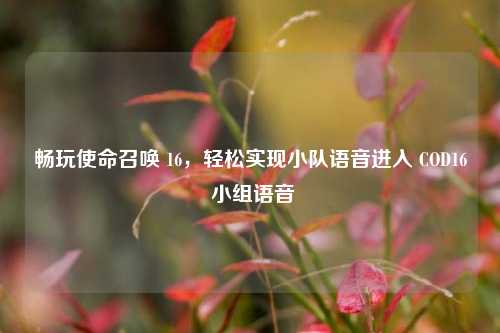 畅玩使命召唤 16，轻松实现小队语音进入 COD16 小组语音