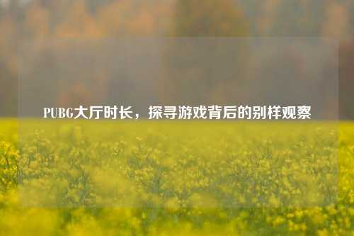 PUBG大厅时长,探寻游戏背后的别样观察