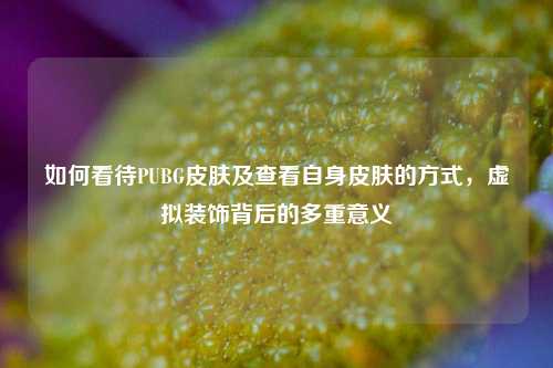 如何看待PUBG皮肤及查看自身皮肤的方式，虚拟装饰背后的多重意义