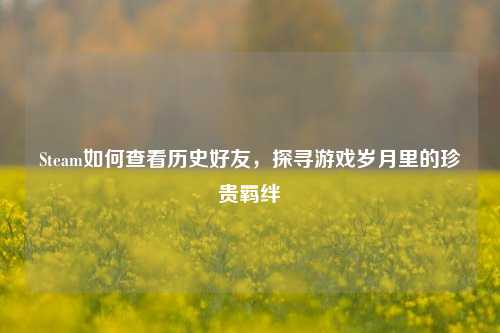 Steam如何查看历史好友,探寻游戏岁月里的珍贵羁绊