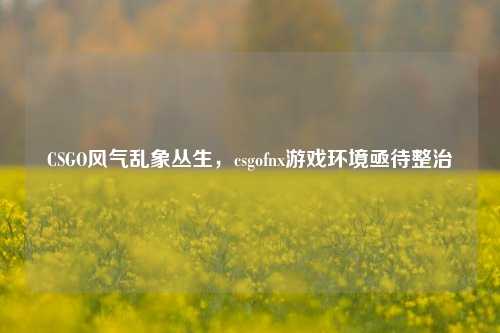 CSGO风气乱象丛生,csgofnx游戏环境亟待整治