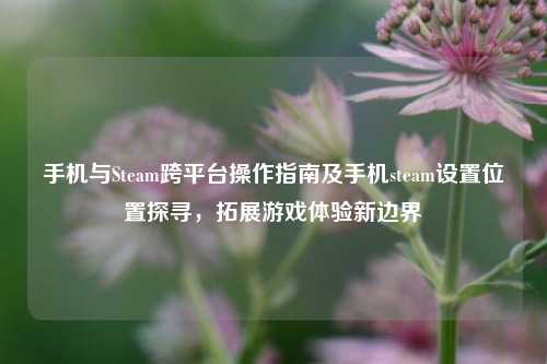 手机与Steam跨平台操作指南及手机steam设置位置探寻,拓展游戏体验新边界