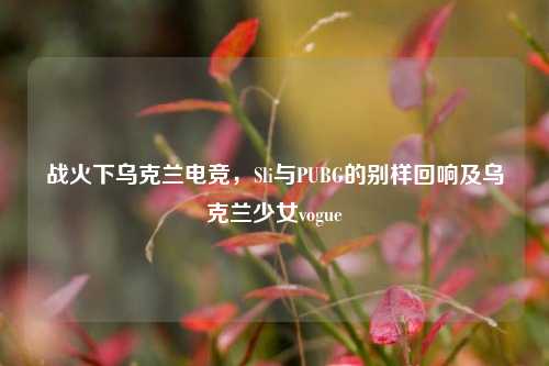战火下乌克兰电竞，Sli与PUBG的别样回响及乌克兰少女vogue