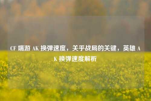 CF 端游 AK 换弹速度,关乎战局的关键,英雄 AK 换弹速度解析