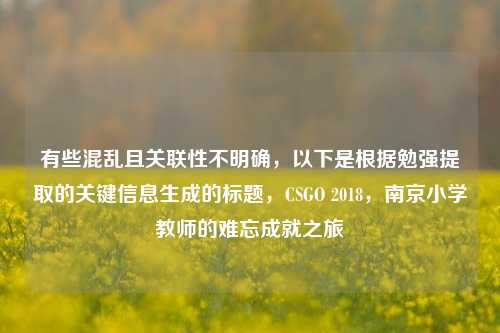 有些混乱且关联性不明确，以下是根据勉强提取的关键信息生成的标题，CSGO 2018，南京小学教师的难忘成就之旅