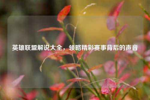 英雄联盟解说大全,领略精彩赛事背后的声音