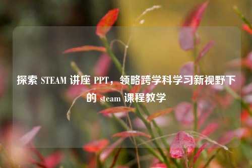 探索 STEAM 讲座 PPT,领略跨学科学习新视野下的 steam 课程教学