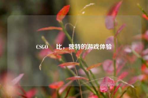 CSGO 挼比，独特的游戏体验