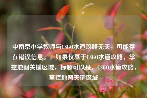 中南京小学教师与CSGO水道攻略无关，可能存在错误信息。，如果仅基于CSGO水道攻略，掌控地图关键区域，标题可以是，CSGO水道攻略，掌控地图关键区域