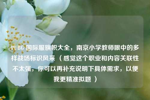 PUBG 国际服旗帜大全，南京小学教师眼中的多样战场标识风采 （感觉这个职业和内容关联性不太强，你可以再补充说明下具体需求，以便我更精准拟题 ）