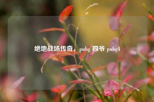 绝地战场传奇，pubg 四爷 pubg4