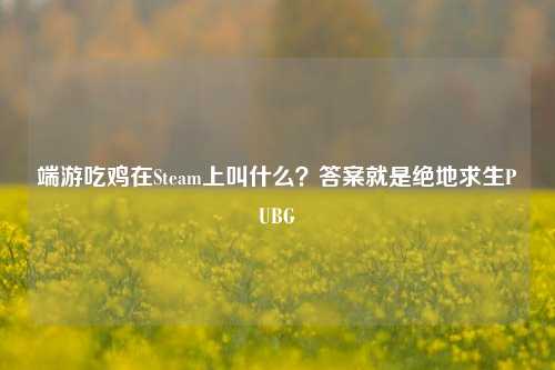 端游吃鸡在Steam上叫什么?答案就是绝地求生PUBG